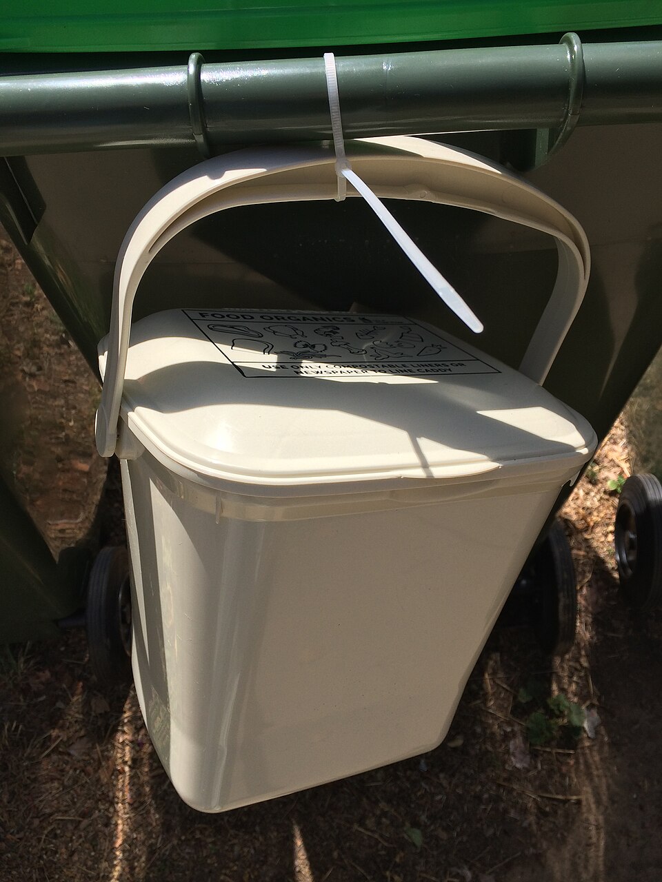 A small food waste caddy with a carry handle