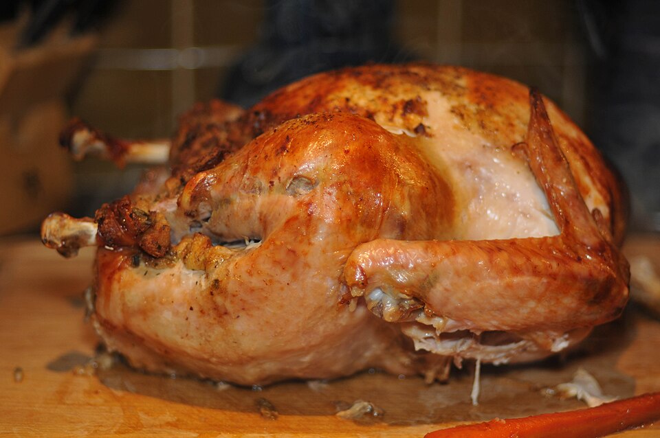 A golden roast turkey
