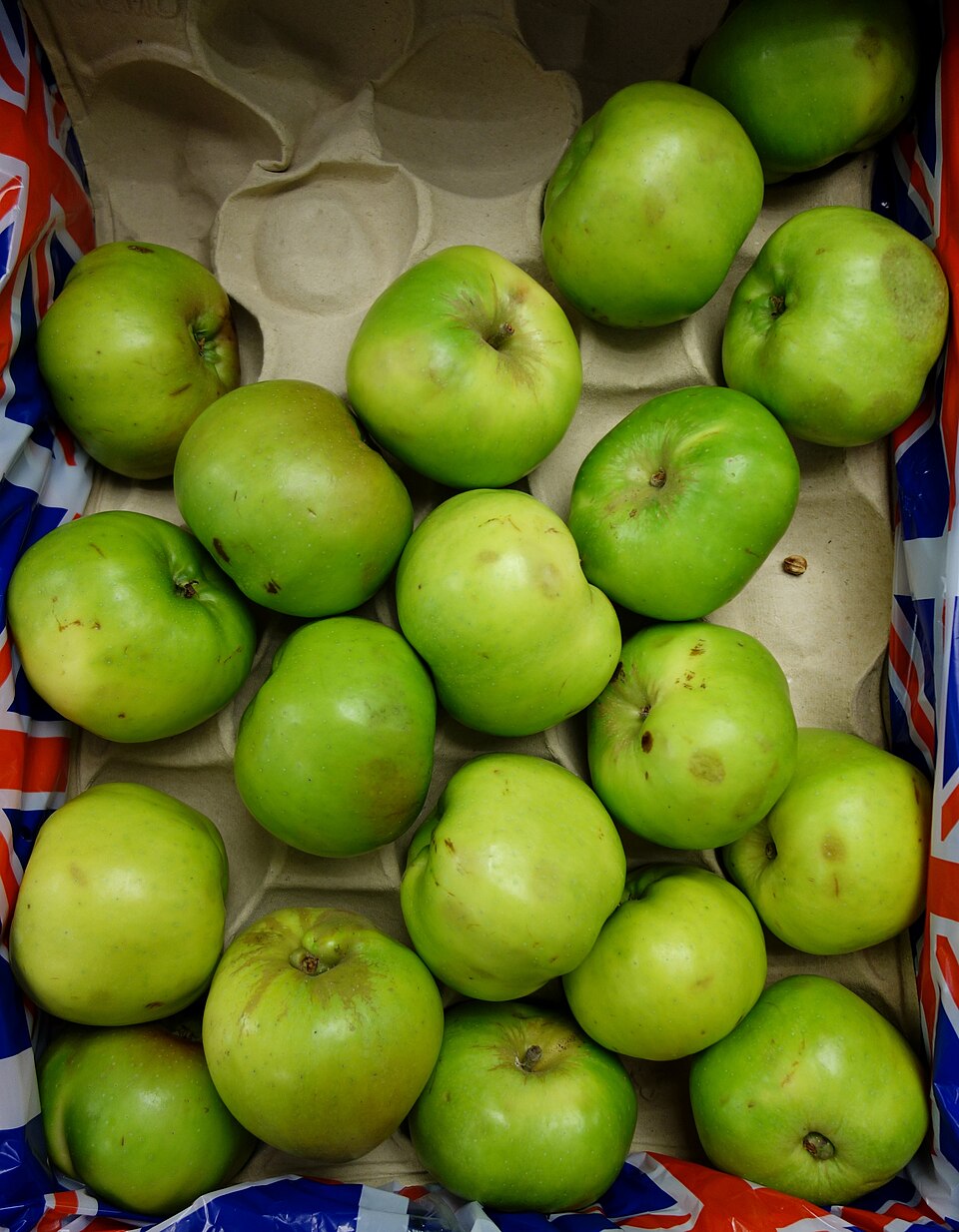 A box of green Bramley cooking apples