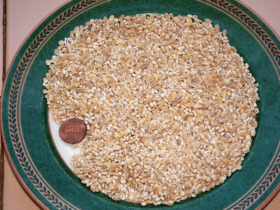 A plate of pearl barley