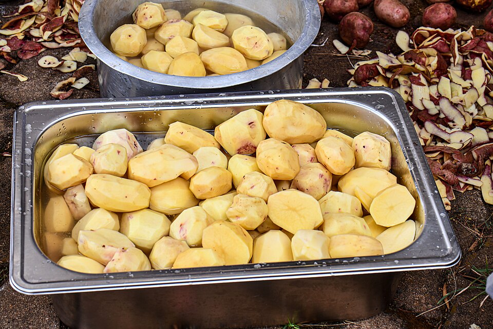 Peeled potatoes in a tray, ready to boil