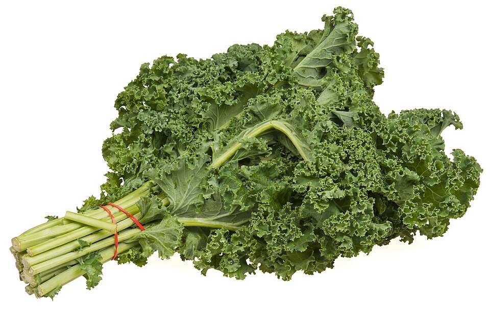 A bunch of curly kale