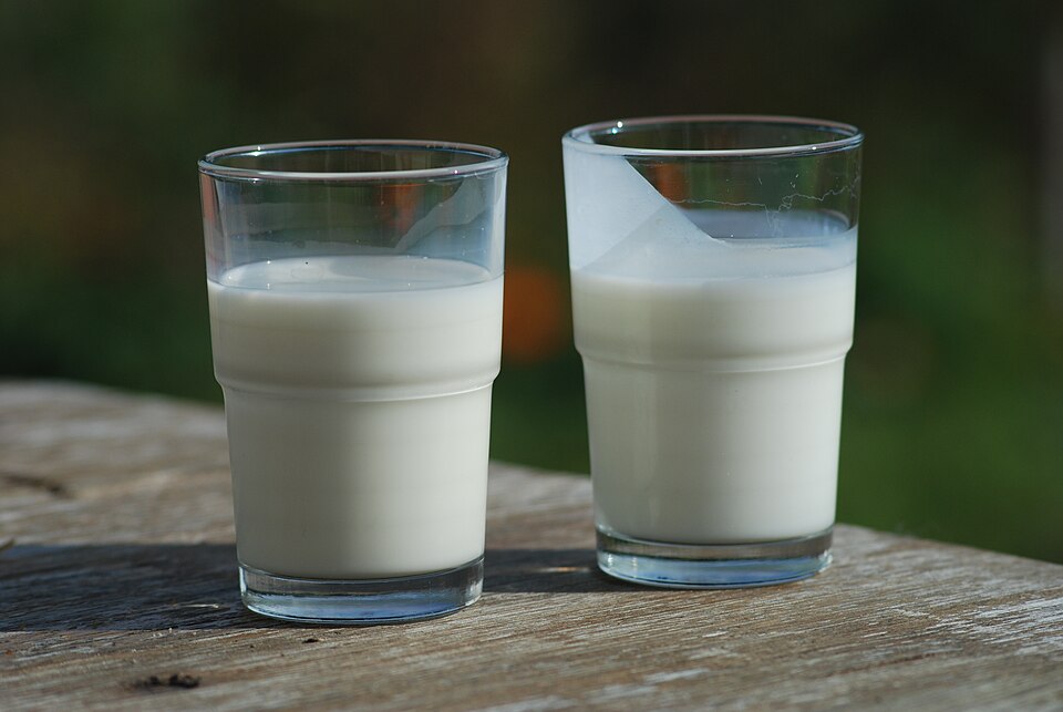 A glass of buttermilk next to a glass of milk