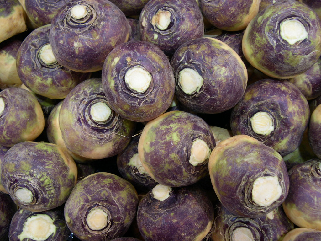 Whole swedes, ready to peel and slice